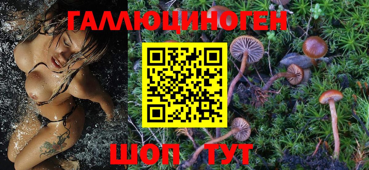 Псилоцибиновые грибы мицелий Соликамск